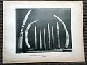 zz-lusc19,tafel 115 (yoruba) benin nigeria,elfenbein-horn mit figur (b